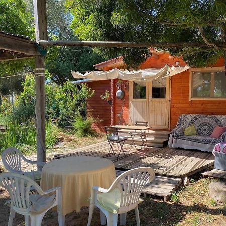 El Canto De Las Ranas Villa Barbate Eksteriør billede